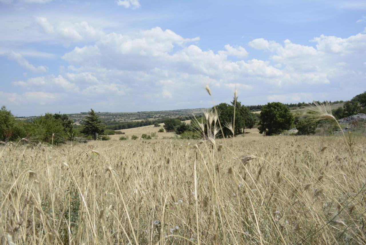 Agriturismo Poggio Ferrata Руво-ди-Пулья Экстерьер фото